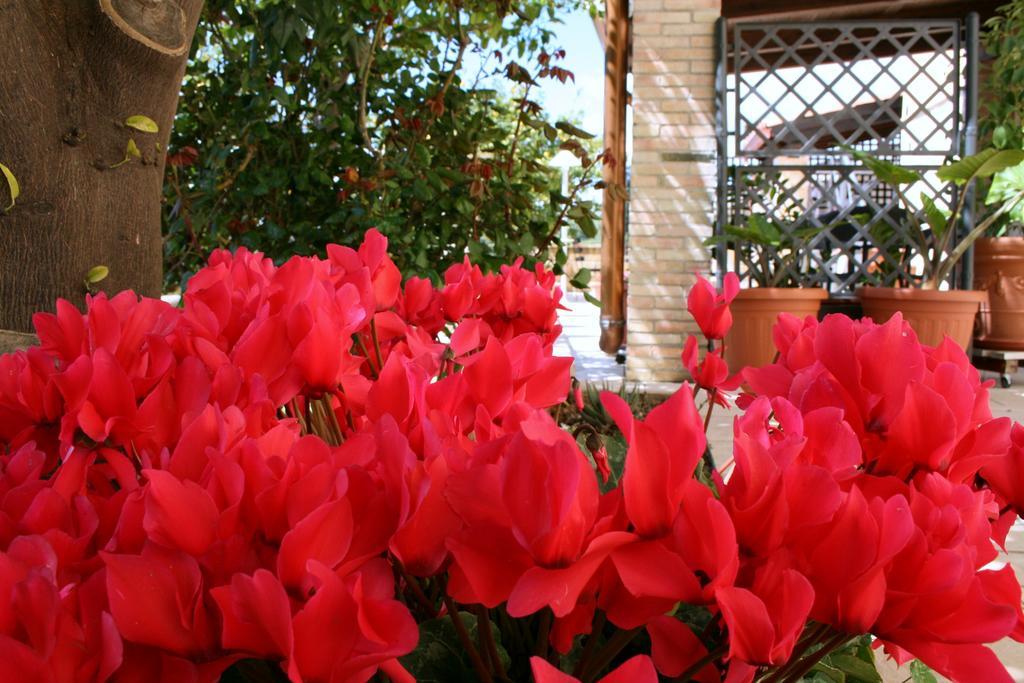 Villa Mara B&B Noto Luaran gambar