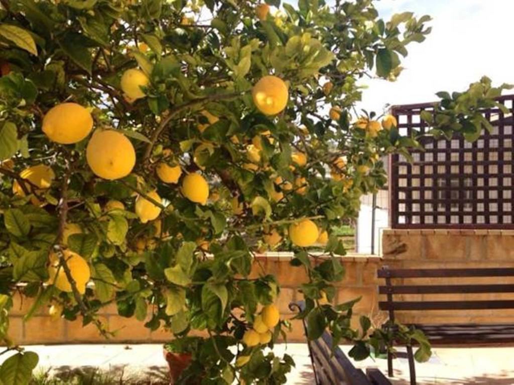 Villa Mara B&B Noto Luaran gambar